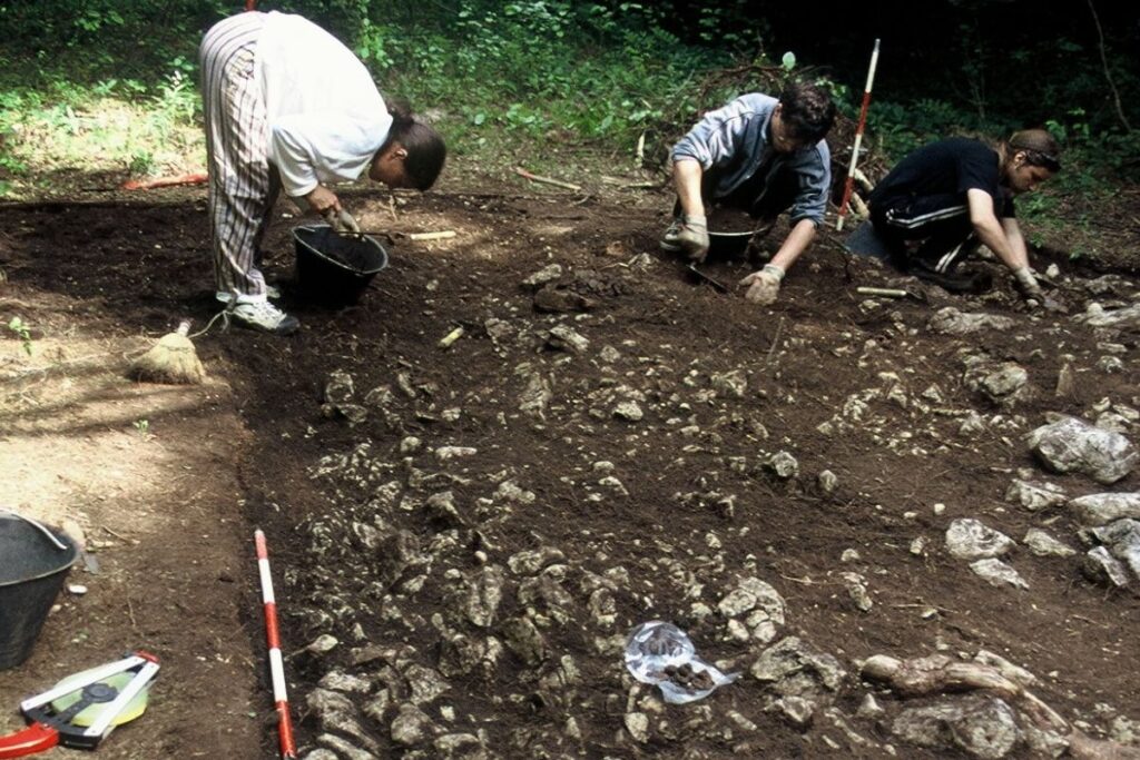 Tri osebe, ki delajo na arheološkem najdišču.
