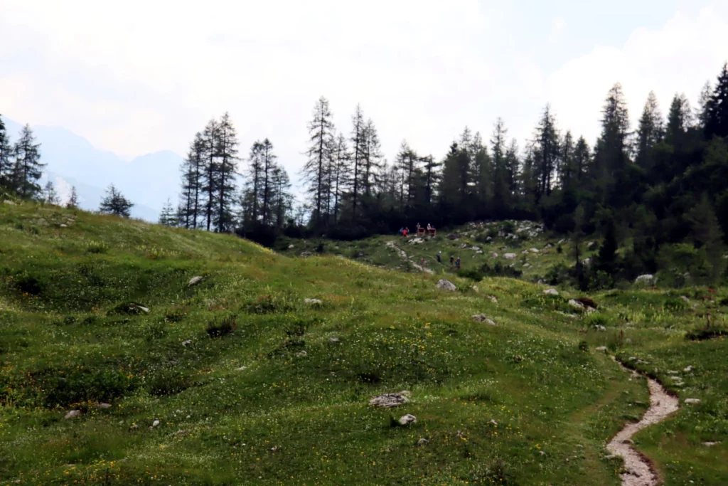 travnata pokarjina arheološko najdišče