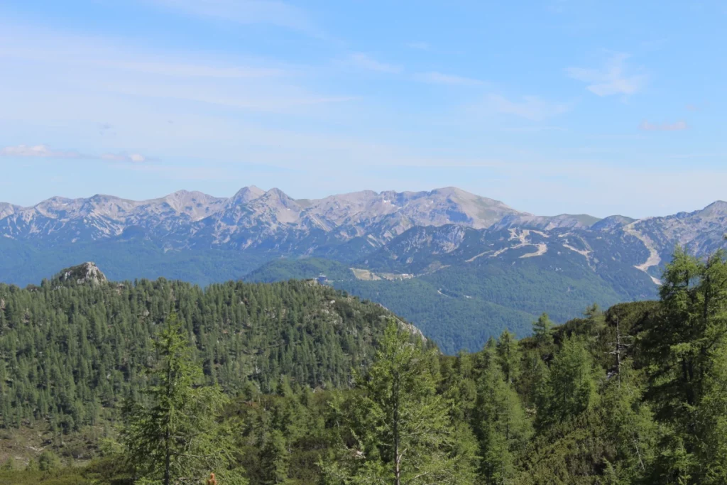 razgled na gore z gozdom v ospredju