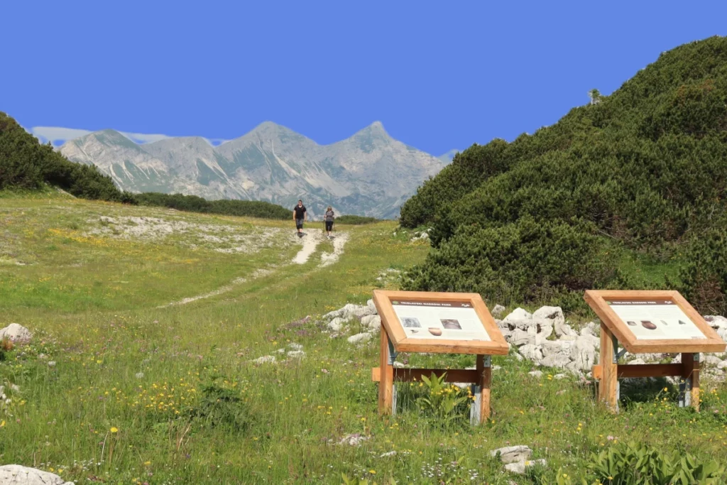 travnata pokrajina - arheološko najdišče Dolga planja