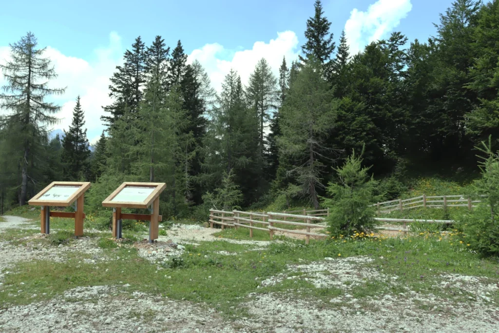 informativni tabli živalstva z gozdom v ozadju