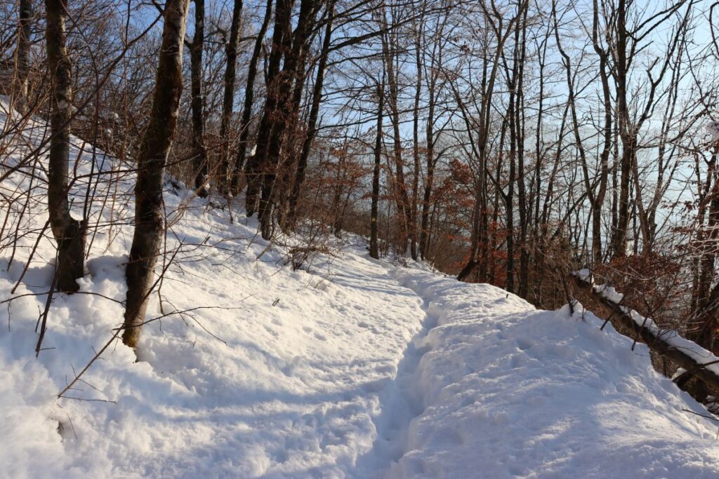 Pot v gozdu na Ajdovski gradec pozimi v snegu.
