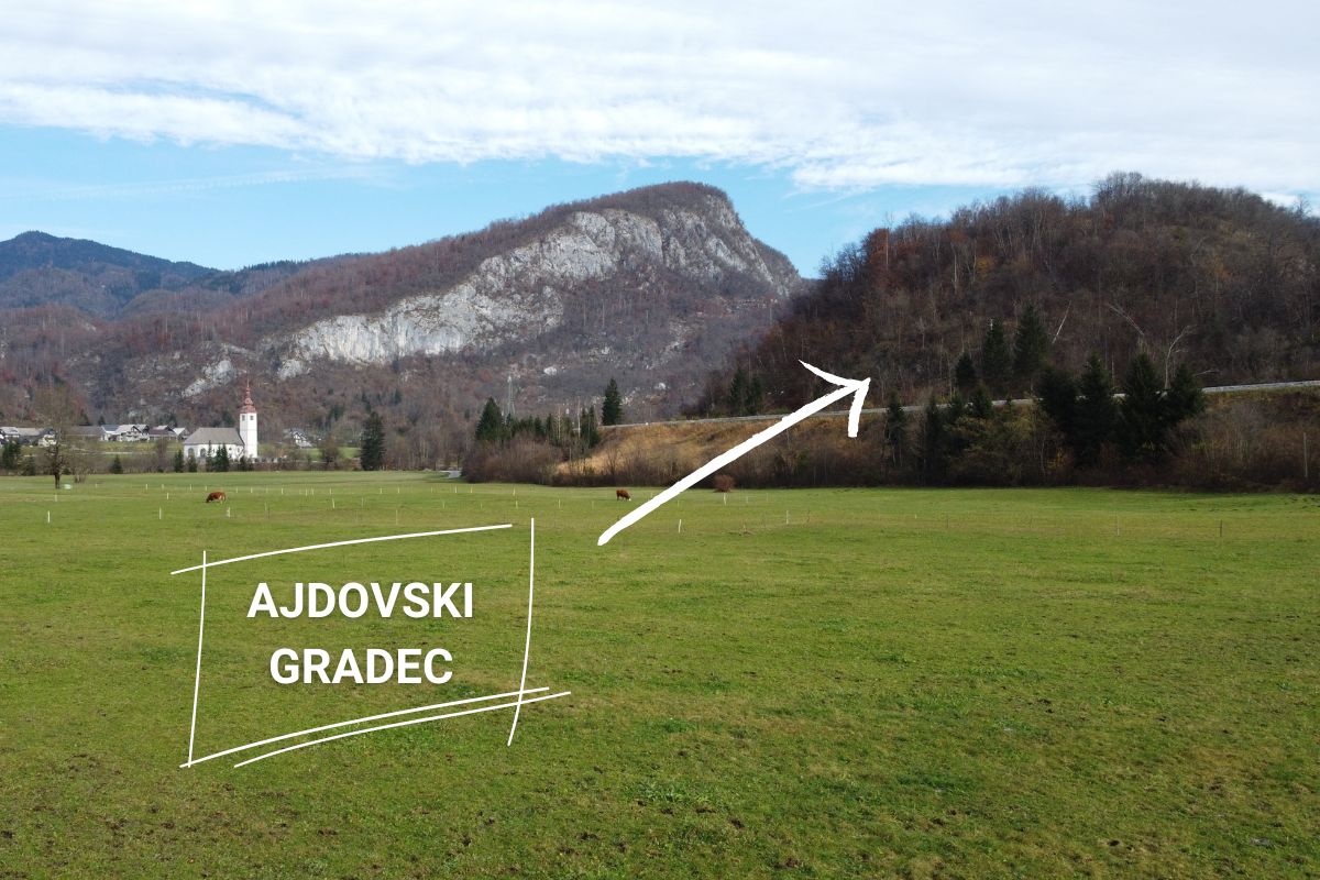 Travnik v ospredju in vzpetina Ajdovski gradec v ozadju.