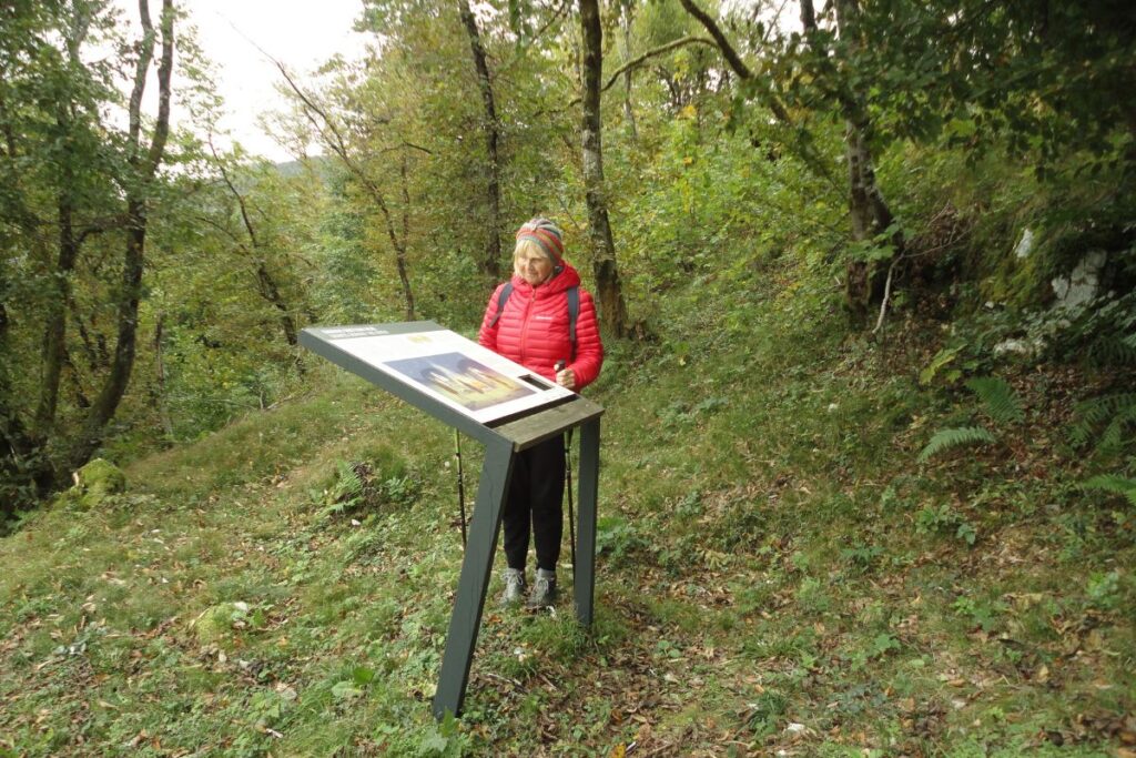 Pot v gozdu na Ajdovski gradec s človekom v ospredju.